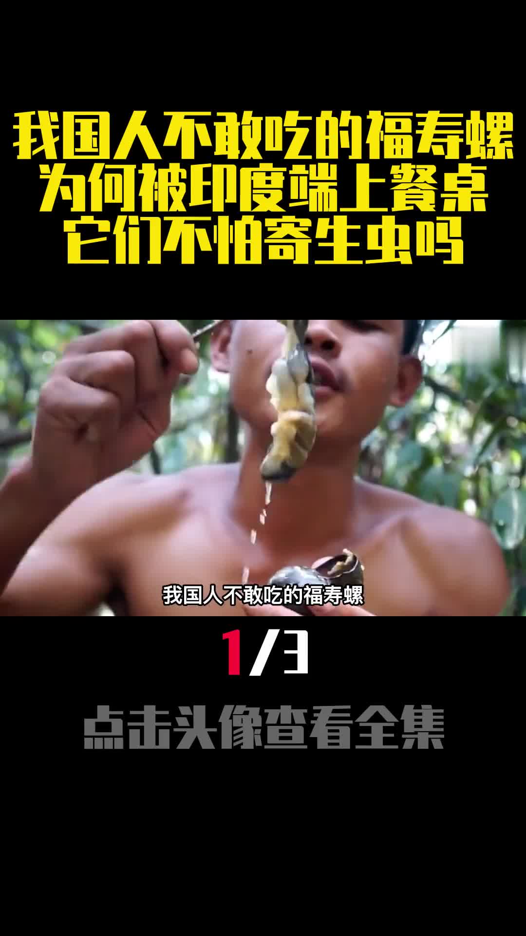 我国人不敢吃的福寿螺为何被印度端上餐桌它们不怕寄生虫吗1