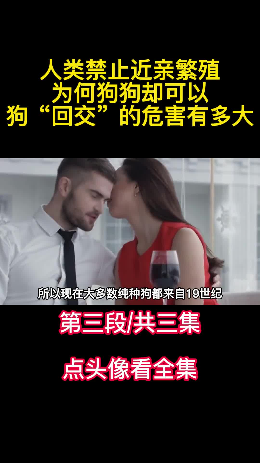 人类禁止近亲繁殖为何狗狗却可以狗回交的危害有多大3