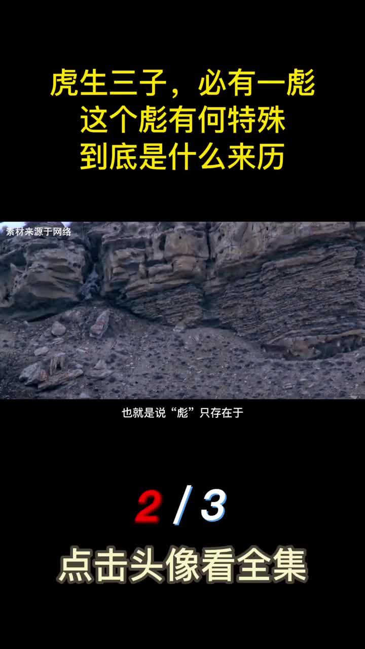 古人说虎生三子必有一彪这个彪有何特殊到底是什么来历