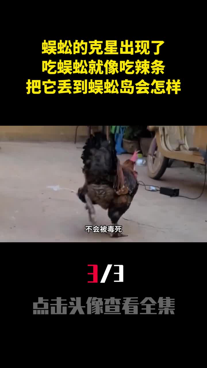 蜈蚣的克星出现了吃蜈蚣就像吃辣条把它丢到蜈蚣岛会怎样3