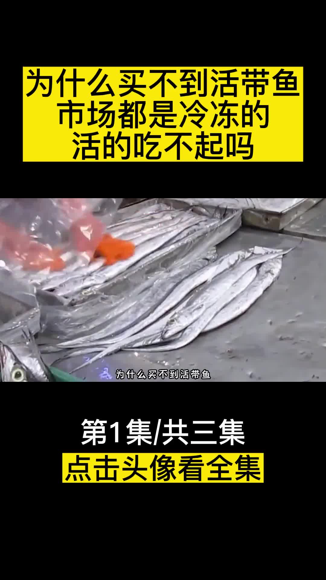 为什么买不到活带鱼市场都是冷冻的难道活的吃不起吗