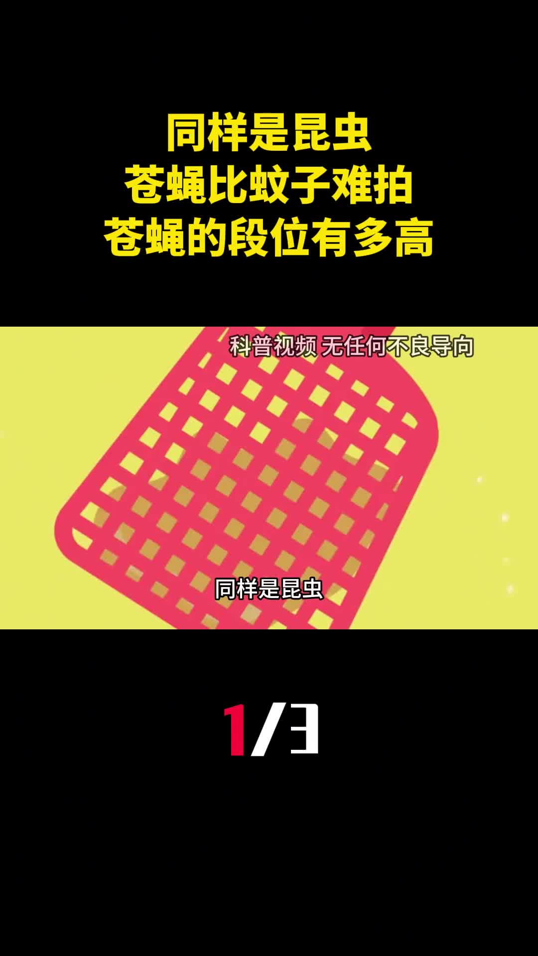 同样是昆虫为啥苍蝇就比蚊子难拍看看苍蝇的段位有多高1