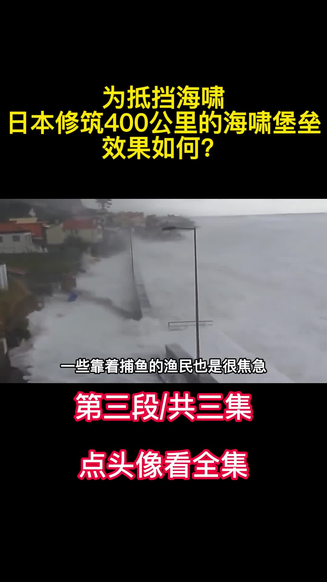日本胆子太大了为抵挡海啸修筑400公里的海啸堡垒效果如何3