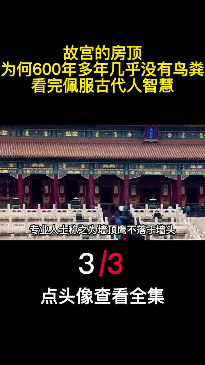 故宫的房顶为何600年多年几乎没有鸟粪看完佩服古代人智慧3