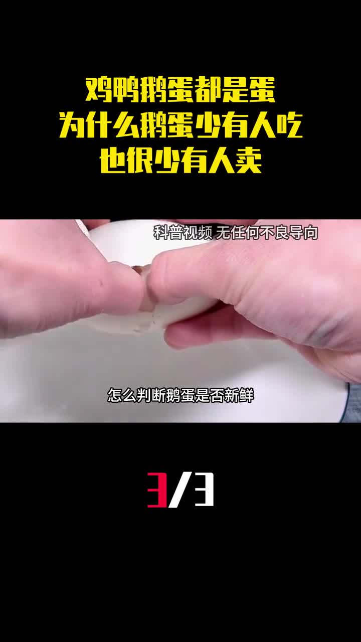 鸡鸭鹅蛋都是蛋为什么鹅蛋很少有人吃也很少有人卖3