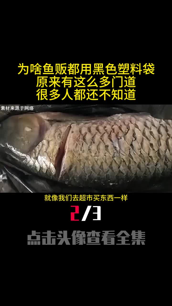 为啥鱼贩都用黑色塑料袋原来有这么多门道很多人都还不知道2
