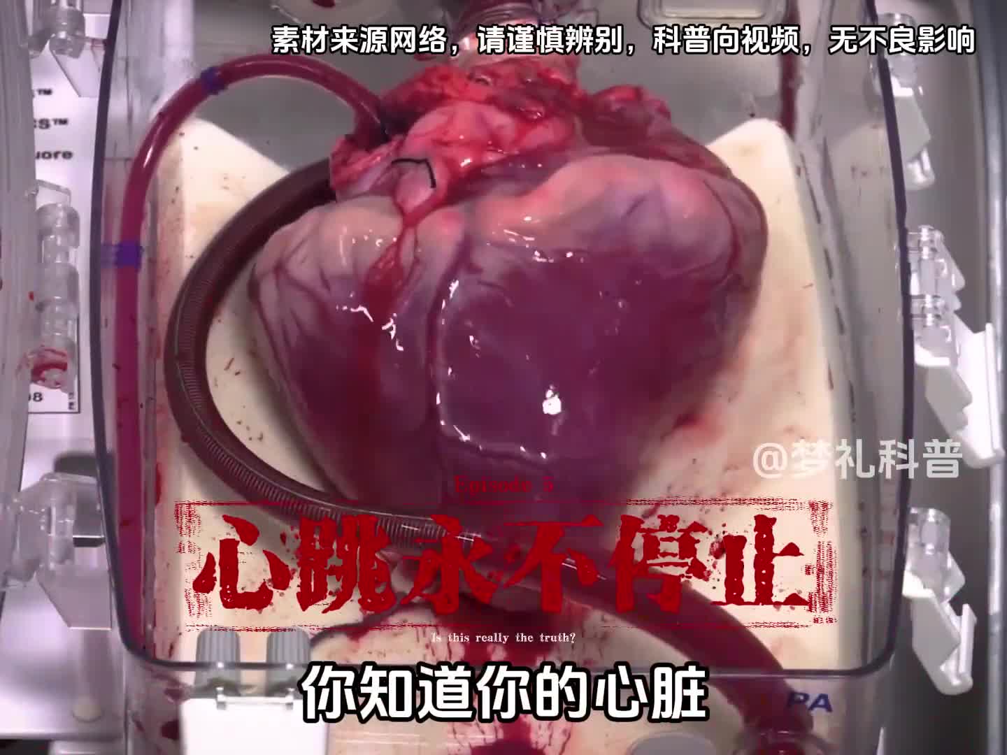 你知道你的心脏有多强大吗