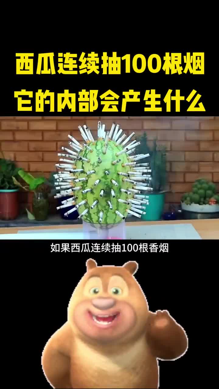 假如西瓜一次性抽100根烟会发生什么