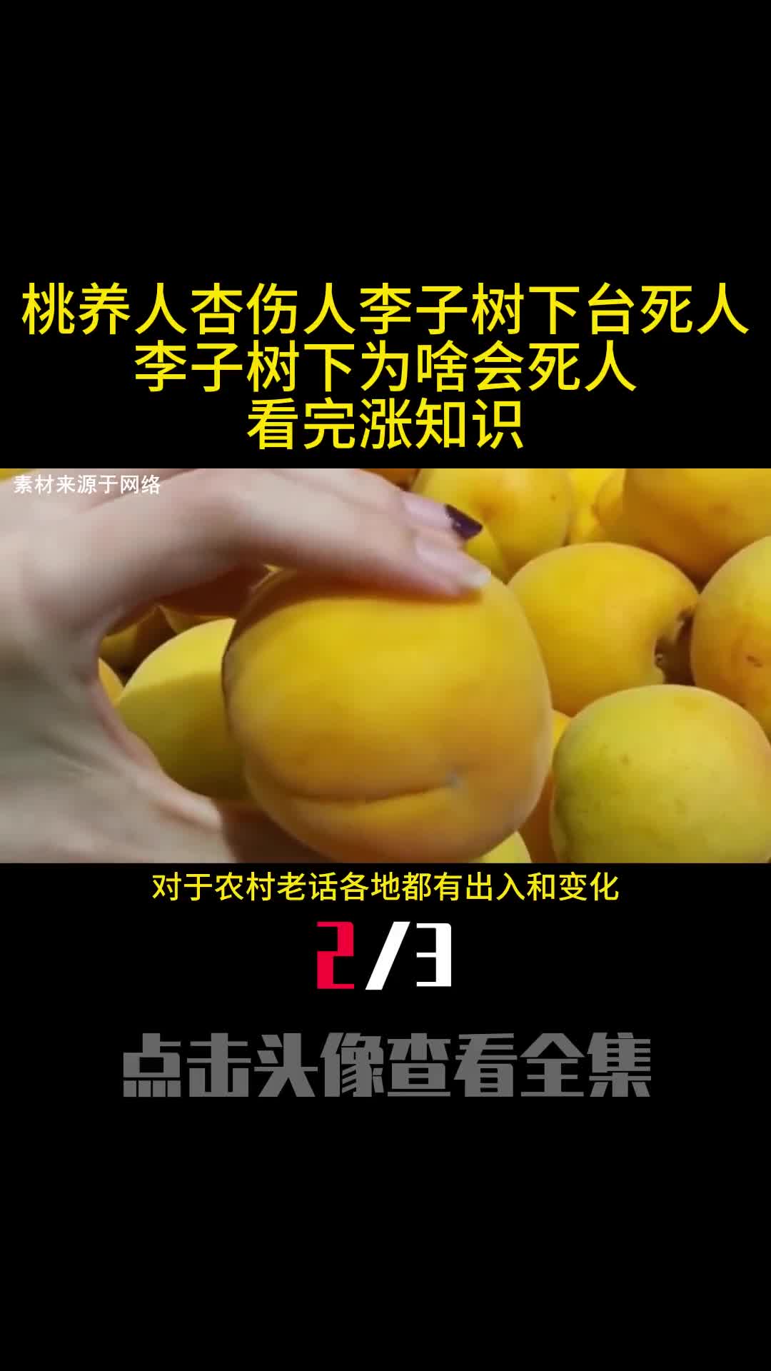 桃养人杏伤人李子树下台死人李子树下为啥会死人看完涨知识2