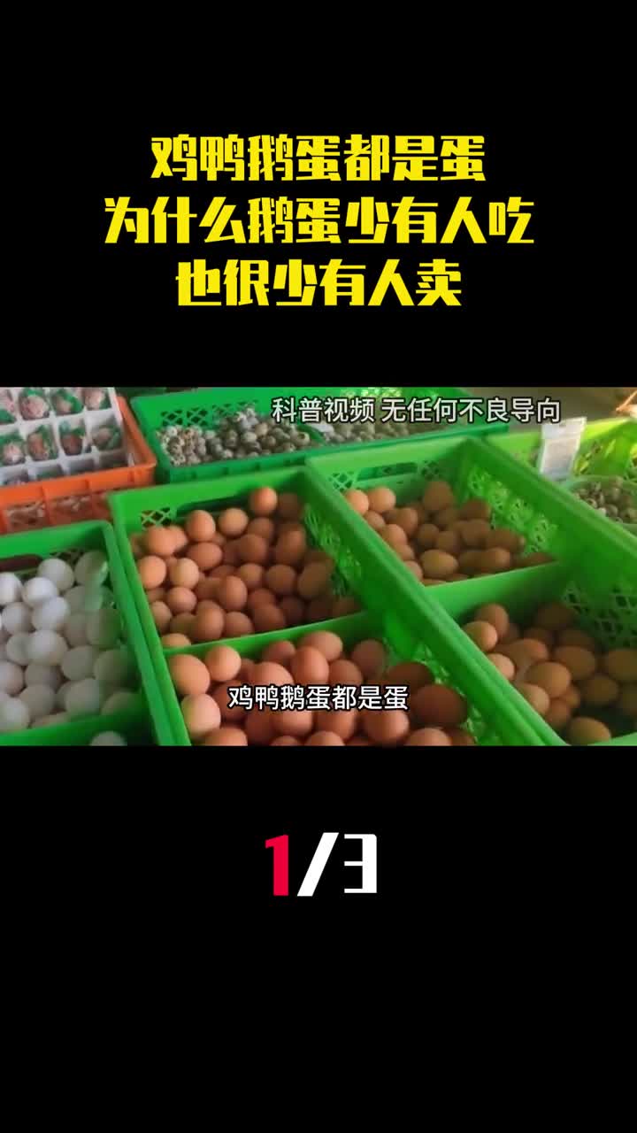 鸡鸭鹅蛋都是蛋为什么鹅蛋很少有人吃也很少有人卖1