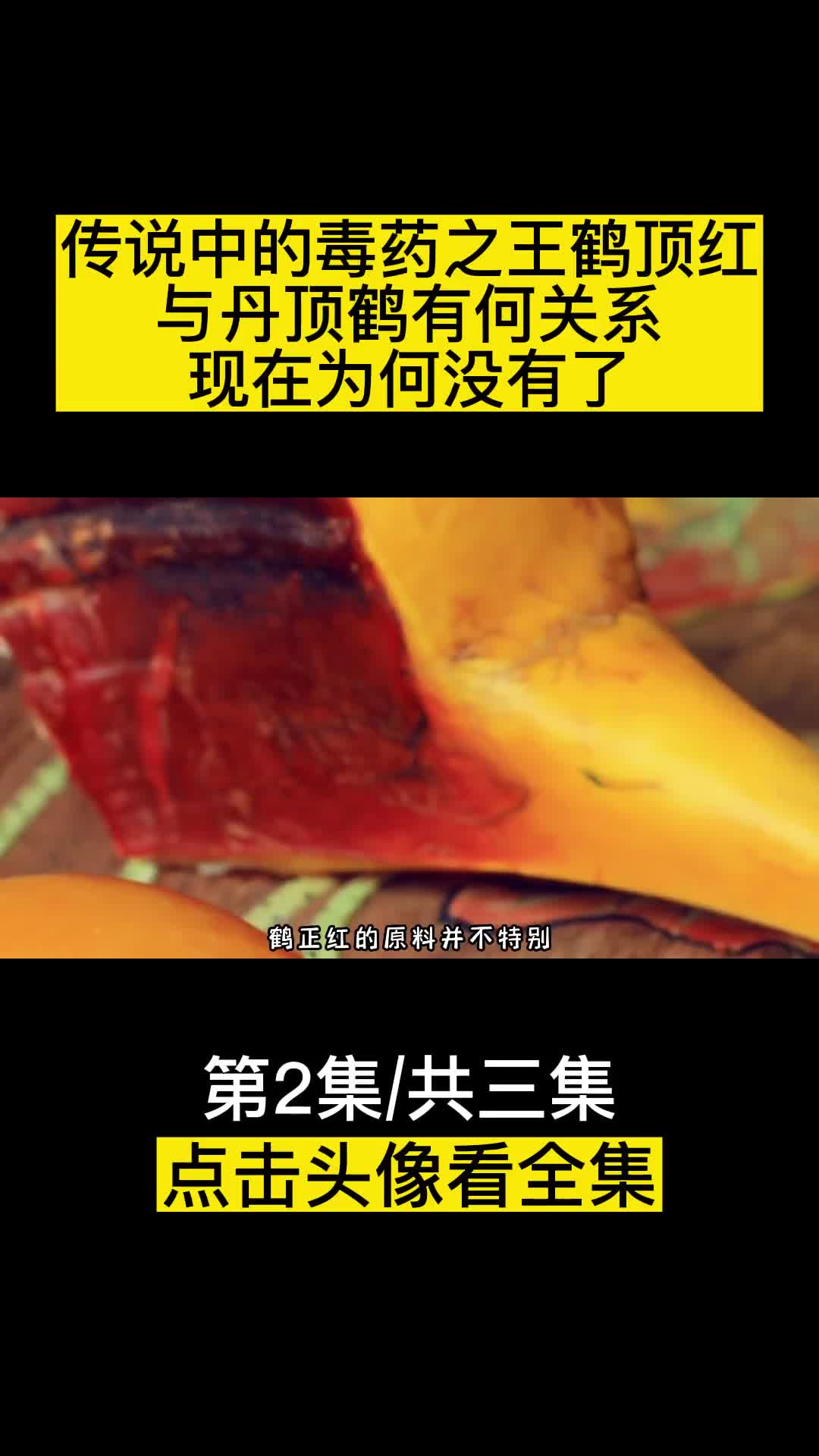 传说中的毒药之王鹤顶红与丹顶鹤有何关系现在怎么没有了