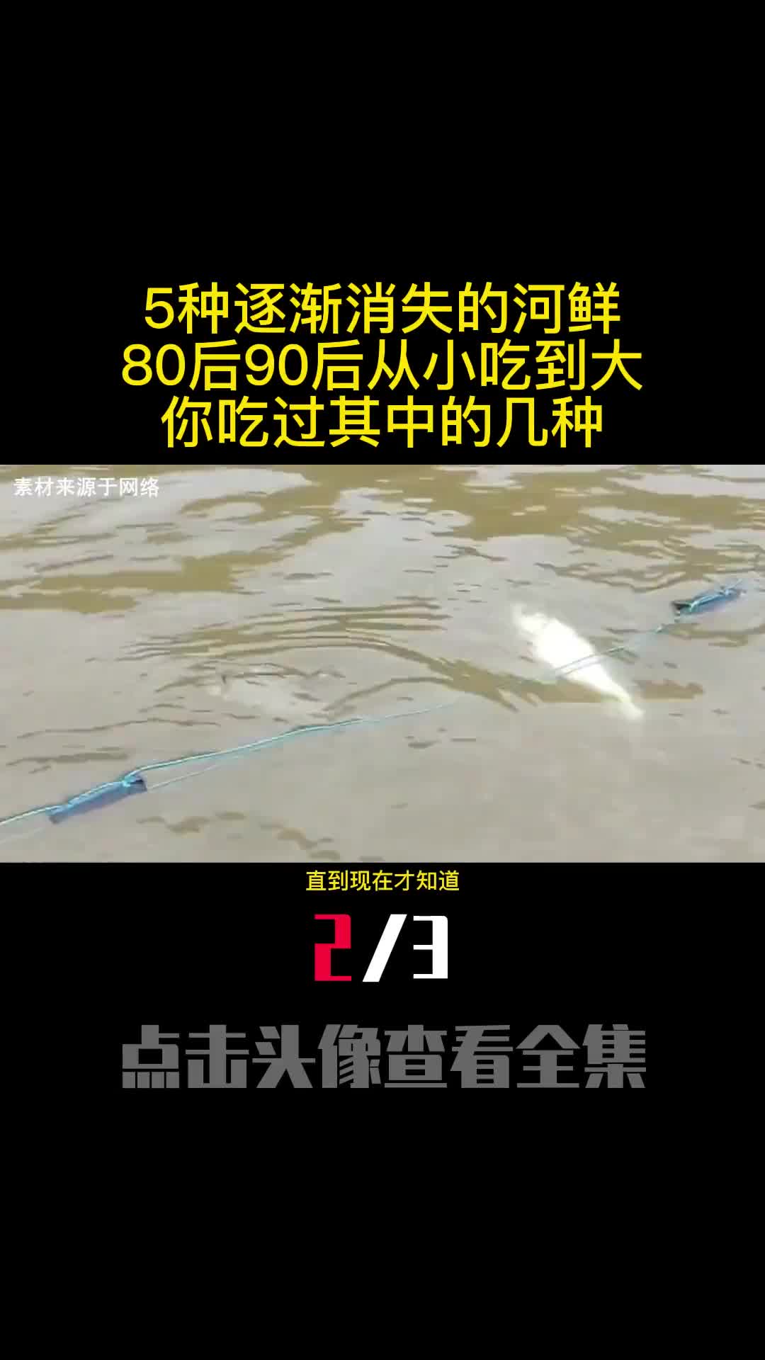 5种逐渐消失的河鲜80后90后从小吃到大你吃过其中的几种2