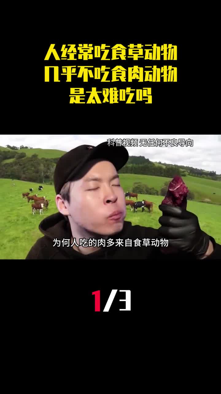 为何人吃的肉多来自食草动物几乎不吃食肉动物是太难吃吗1
