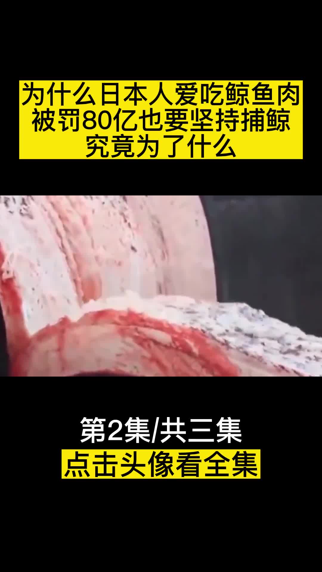 为什么日本人爱吃鲸鱼肉被罚80亿也要坚持捕鲸究竟为了什么