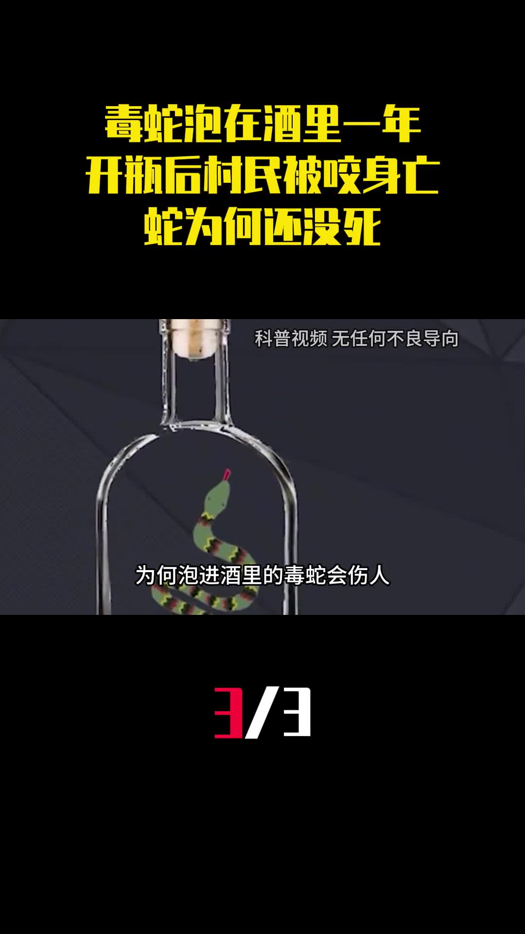 毒蛇泡在酒里一年开瓶后村民被咬身亡蛇为何还没死3