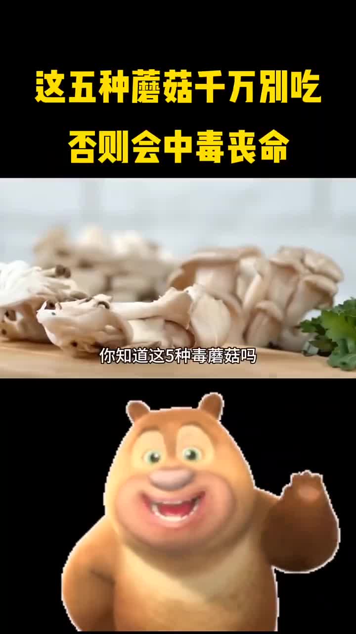 这5种蘑菇千万别吃否则会中毒丧命