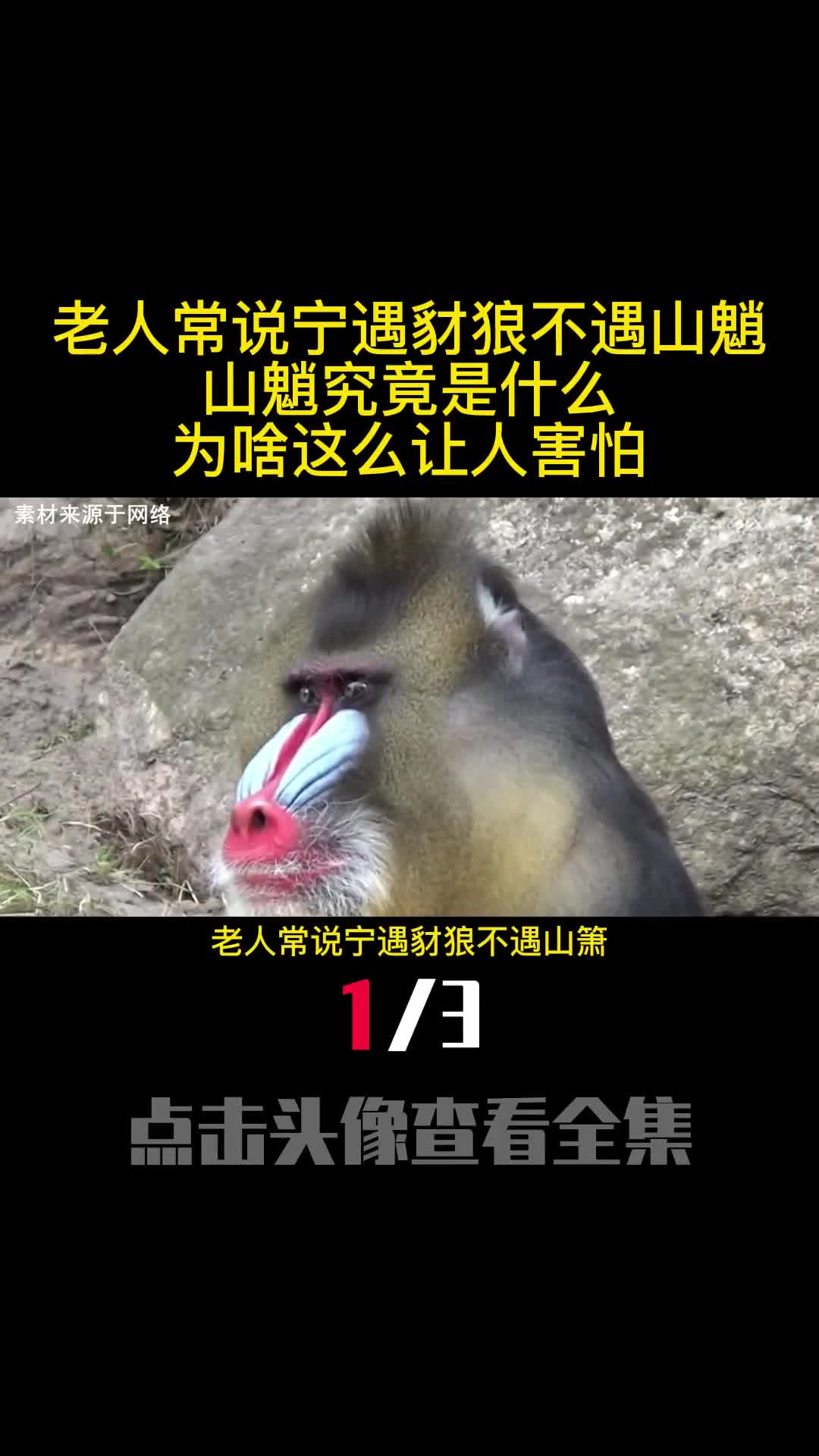 老人常说宁遇豺狼不遇山魈山魈究竟是什么为啥这么让人害怕1