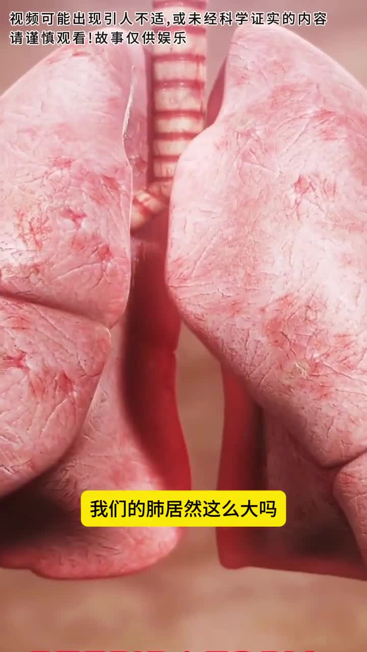 肺有这么大吗来评评理