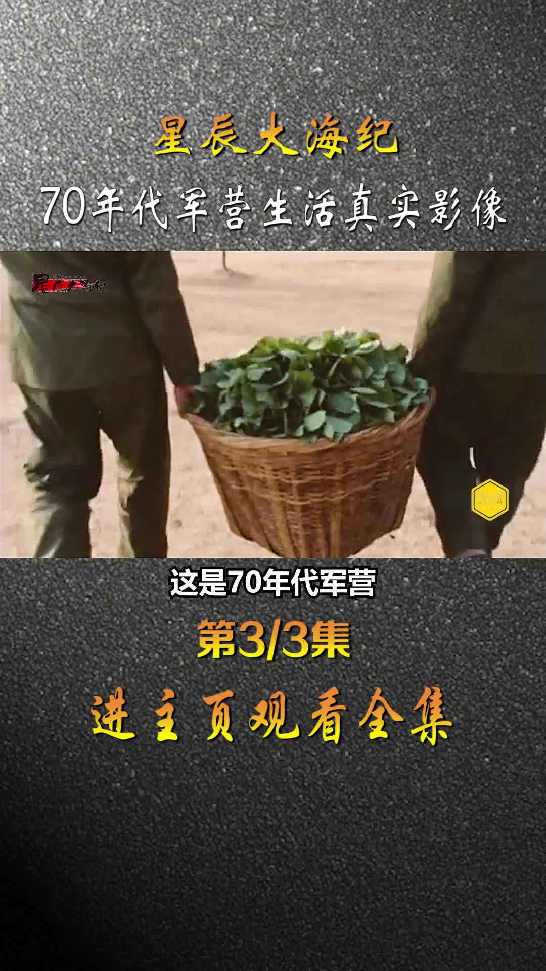 70年代我军军营生活战士们一天都要干嘛