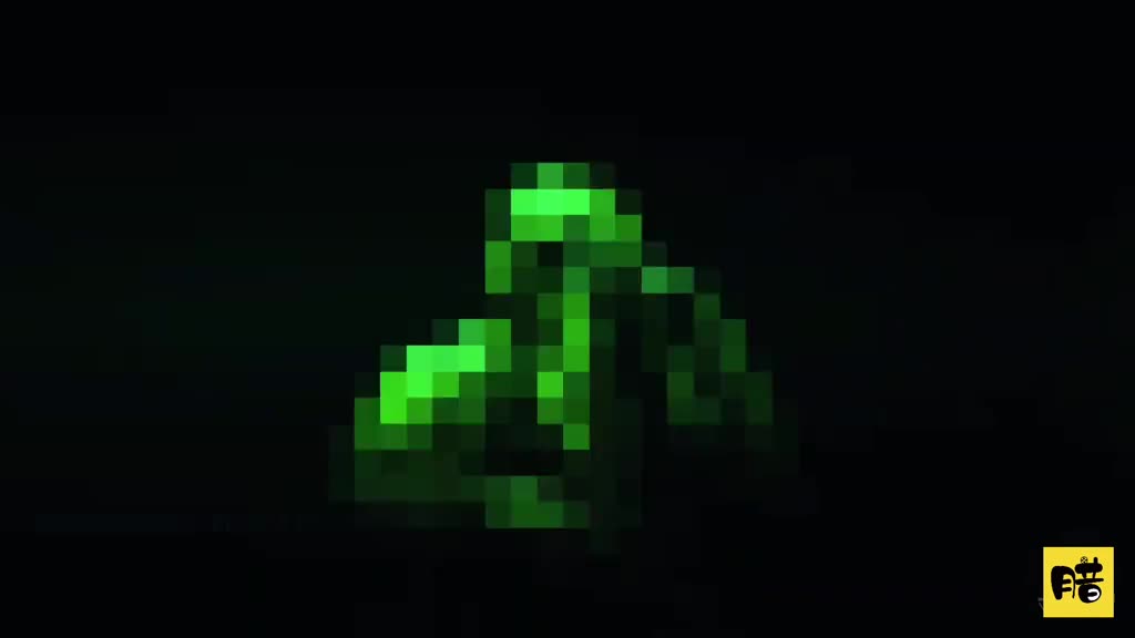 来看看绿色贝雷帽的风采