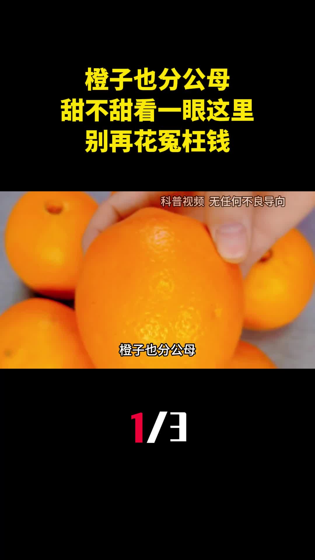 橙子也分公母橙子甜不甜看一眼这里就知道别再花冤枉钱1