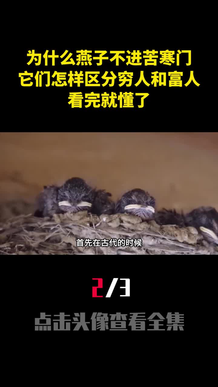 为什么燕子不进苦寒门它们怎样区分穷人和富人看完就懂了2