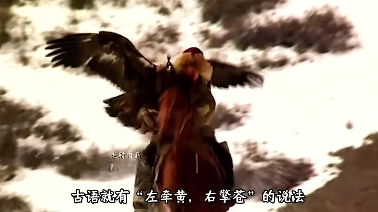 在枪王挑战赛上仿生老鹰飞行手雷的展示非常科幻