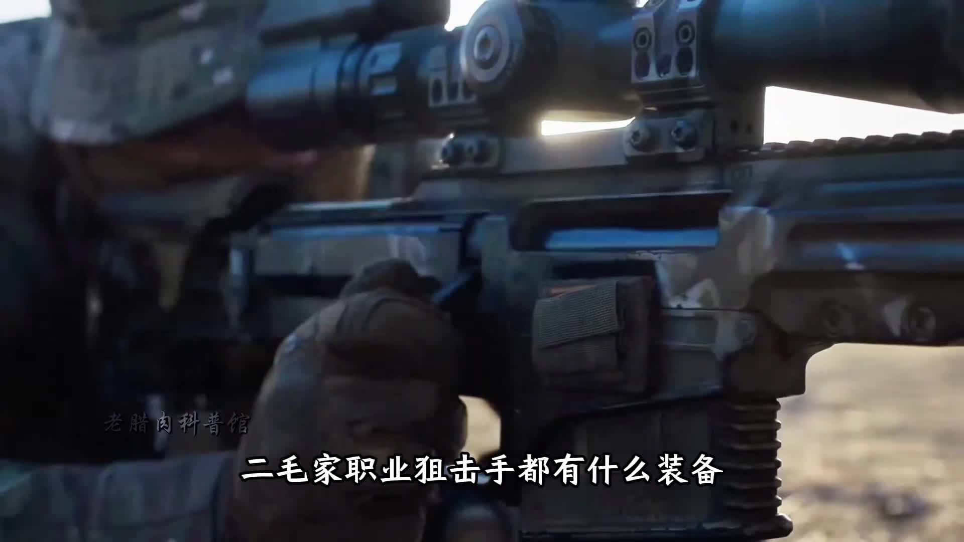二毛家职业狙击手都有哪些装备价值几十万的装备让人瞠目