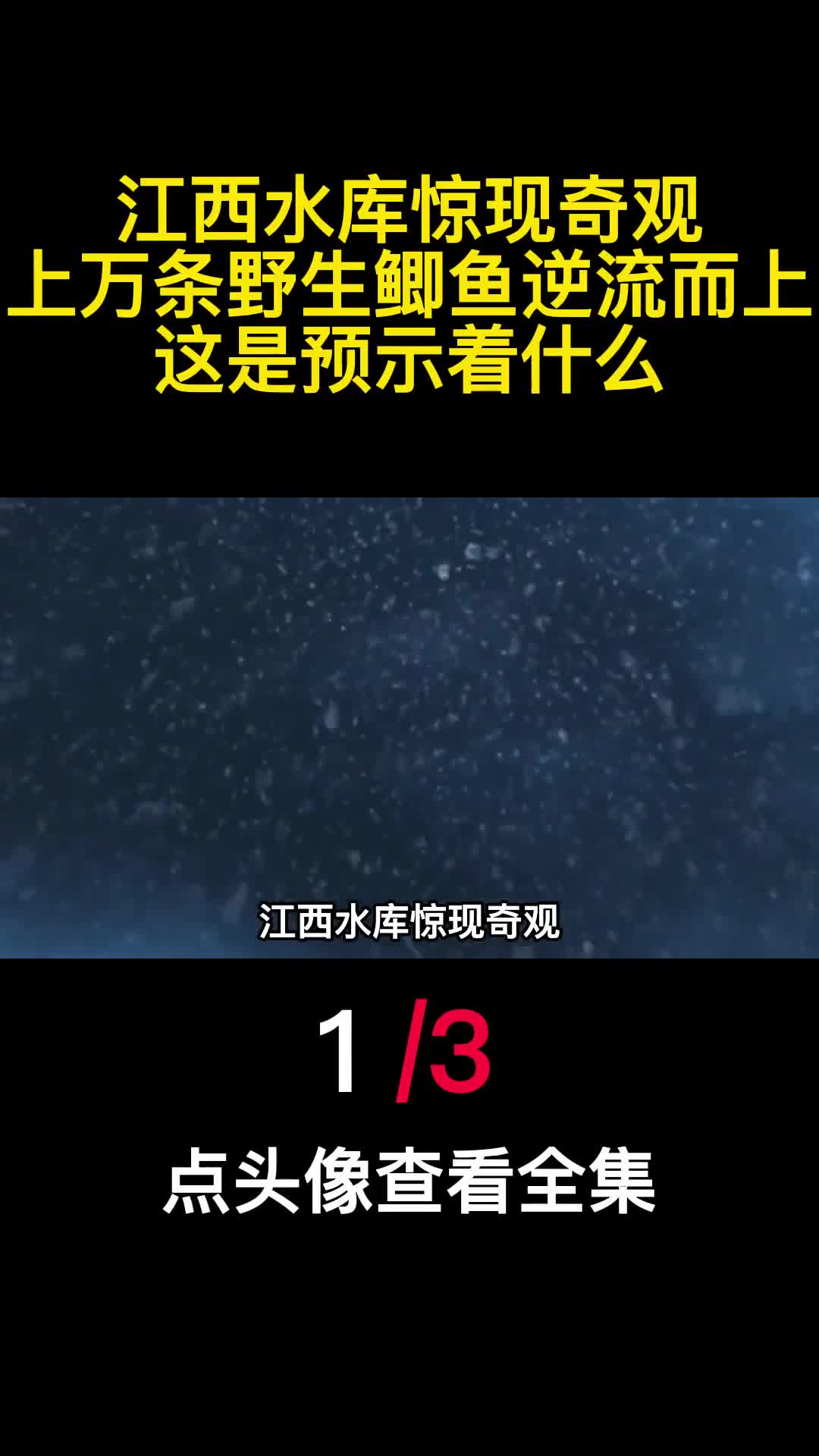 江西水库惊现奇观上万条野生鲫鱼逆流而上这是预示着什么1