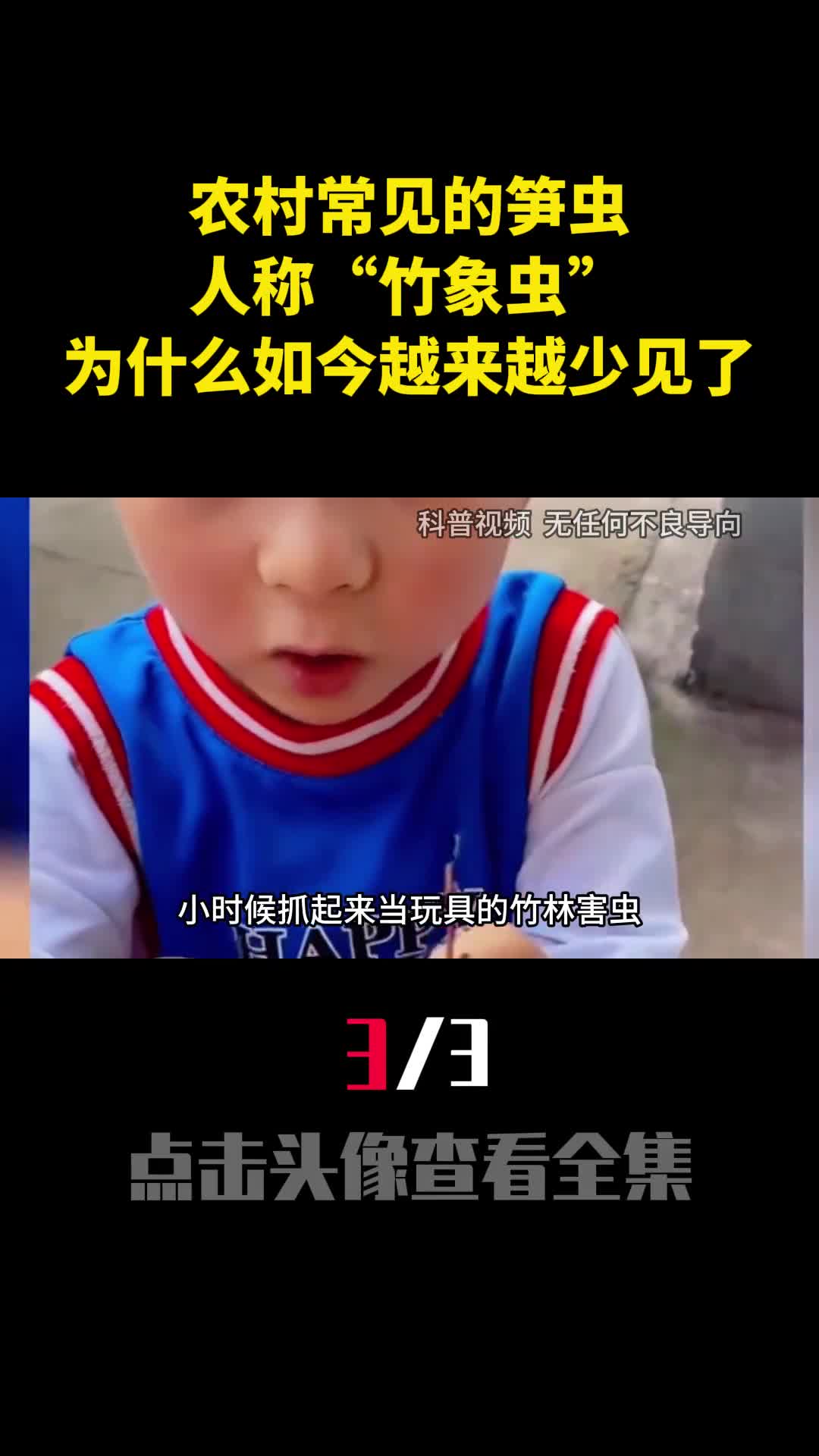 农村常见的笋虫人称竹象虫为什么如今越来越少见了3