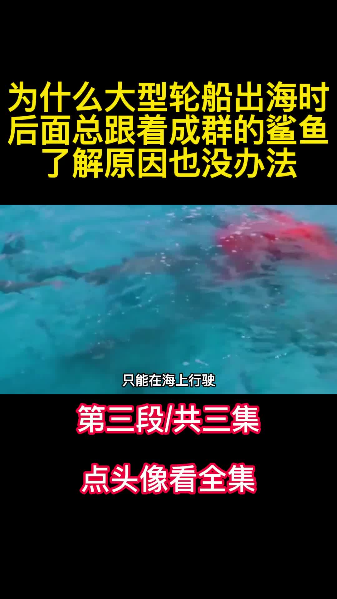 为什么大型轮船出海时后面总跟着成群的鲨鱼了解原因也没办法3