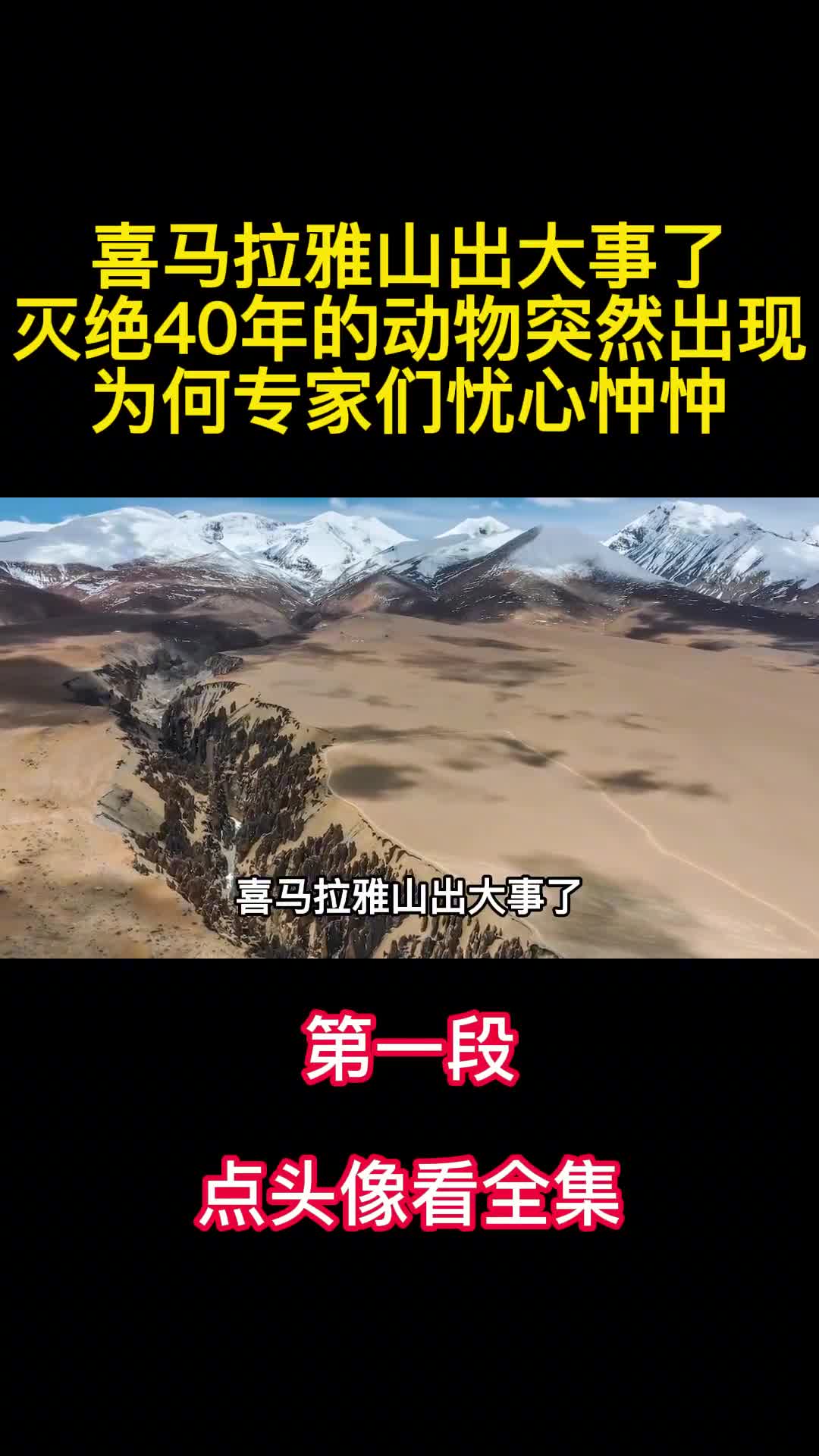 喜马拉雅山出大事了灭绝40年的动物出现为何专家们忧心忡忡1