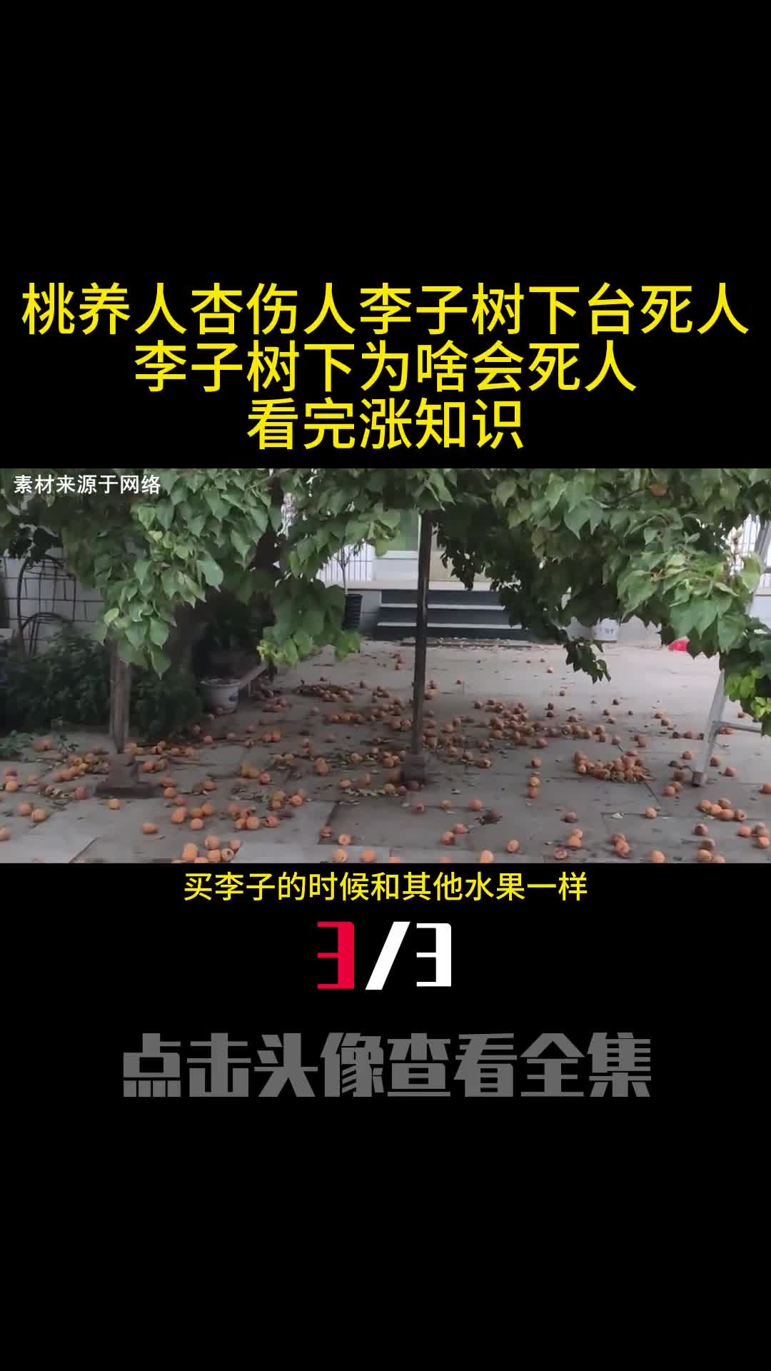 桃养人杏伤人李子树下台死人李子树下为啥会死人看完涨知识3