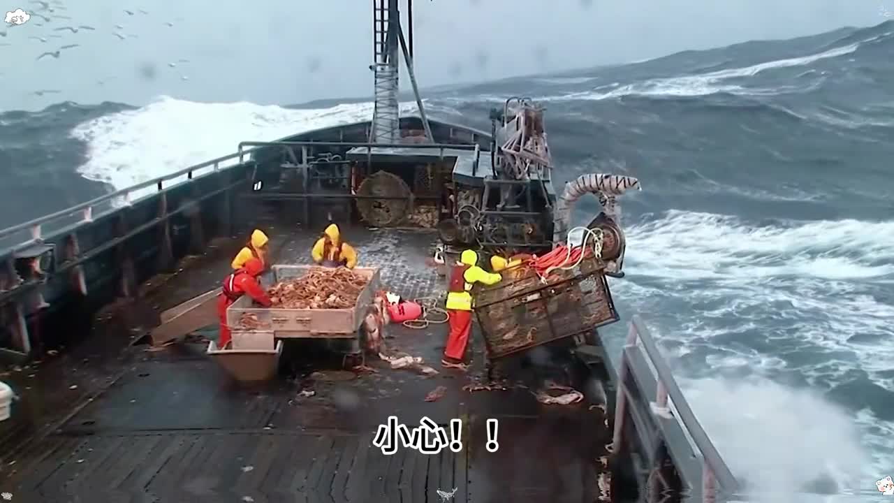 美味多种的帝王蟹你值得拥有