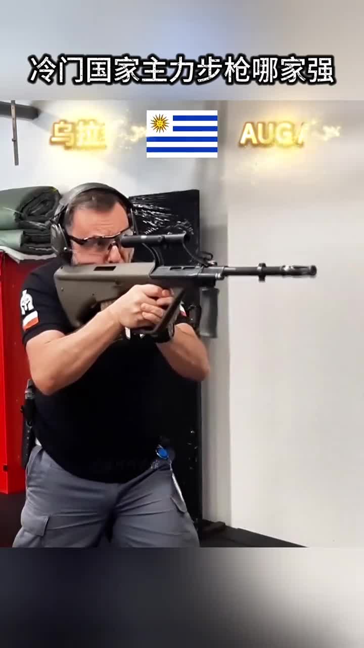 盘点冷门国家的主力步枪你觉得哪把最厉害