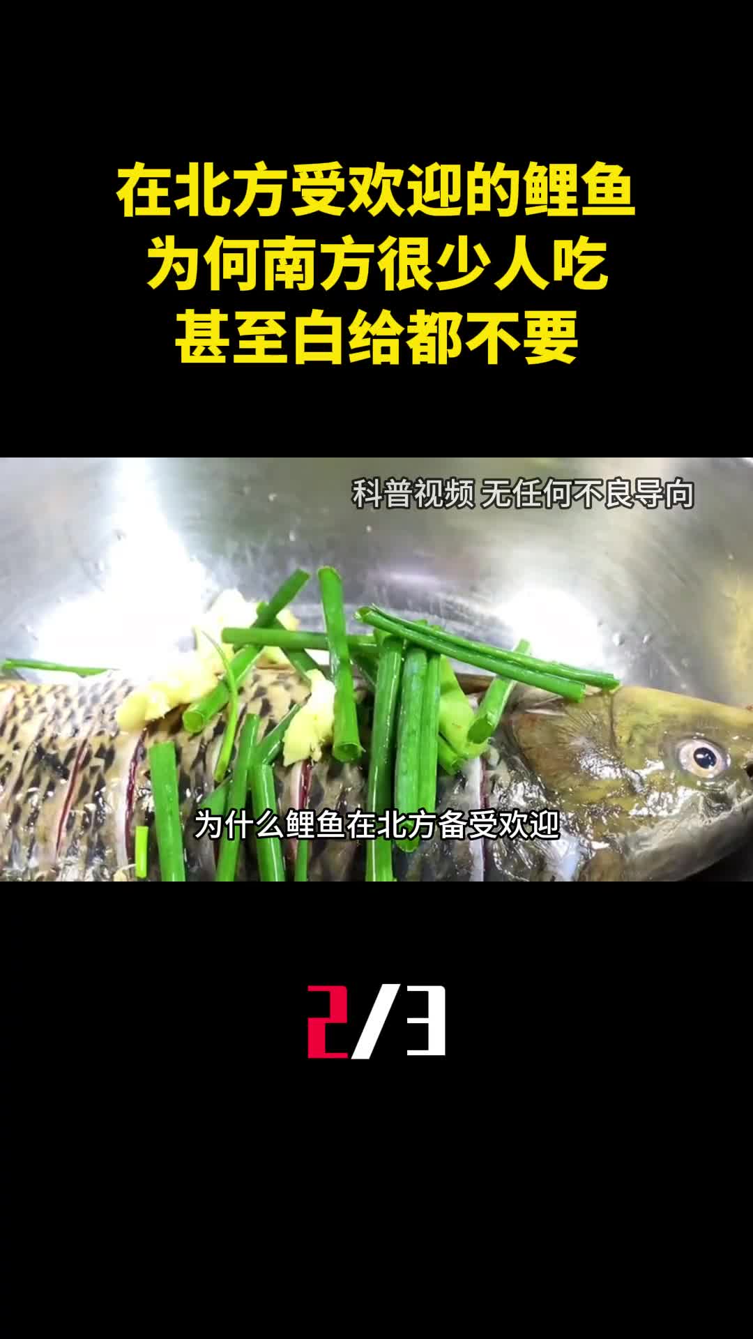 在北方受欢迎的鲤鱼为何南方很少人吃甚至白给都不要2