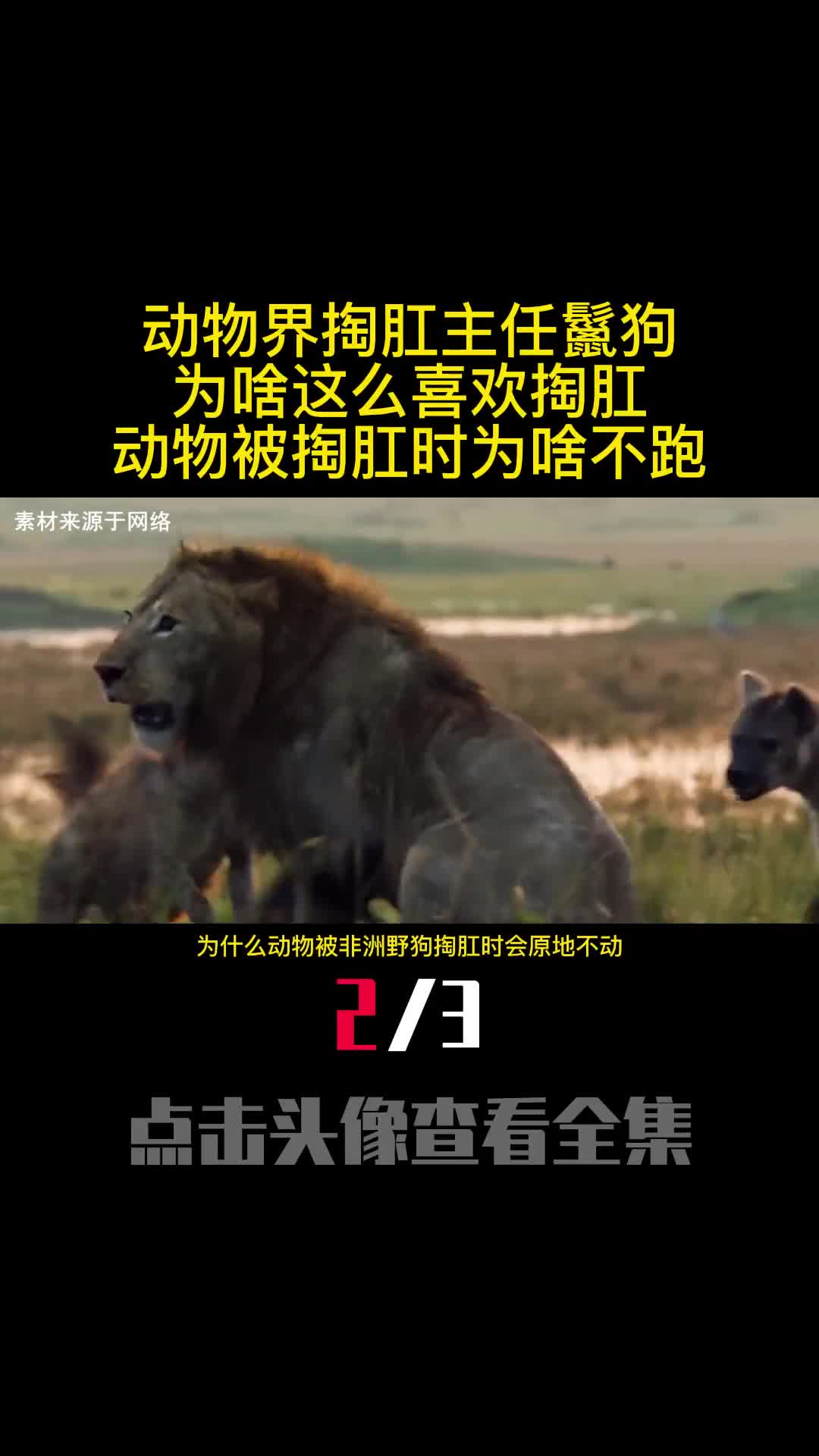 动物界掏肛主任鬣狗为啥这么喜欢掏肛动物被掏肛时为啥不跑2