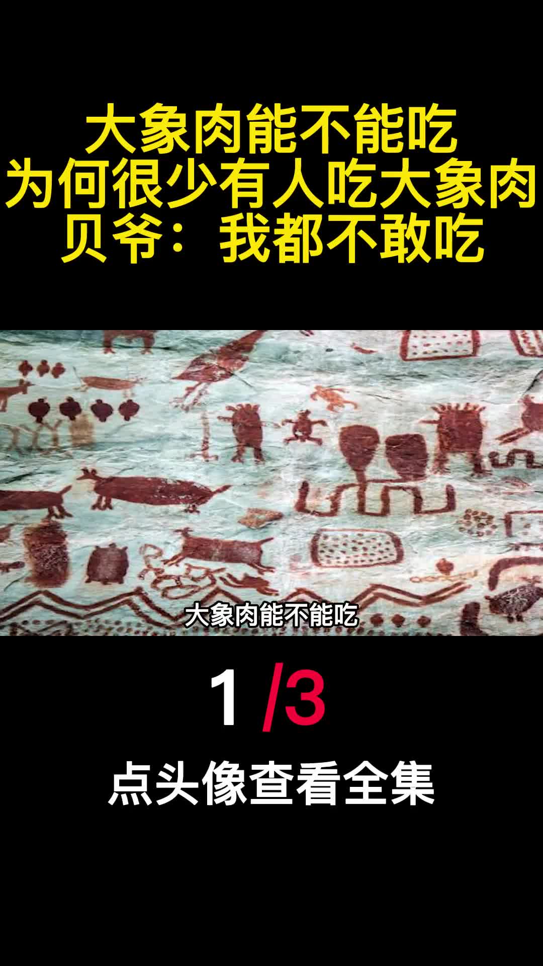 大象肉能不能吃为何很少有人吃大象肉贝爷我都不敢吃1