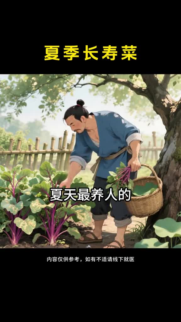 五月苋赛黄金今年的苋菜你吃了吗