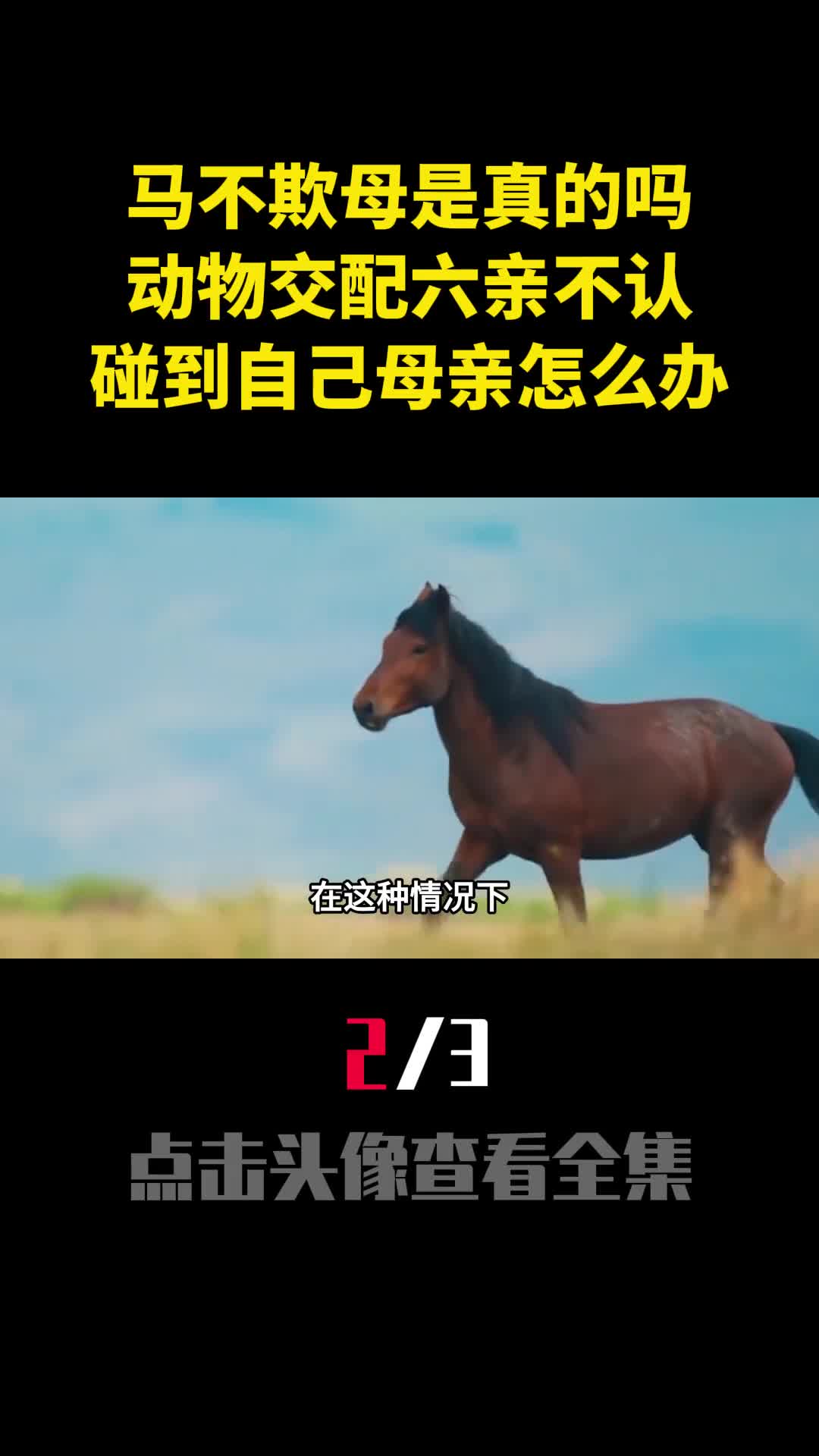 马不欺母是真的吗动物交配六亲不认碰到自己母亲怎么办2
