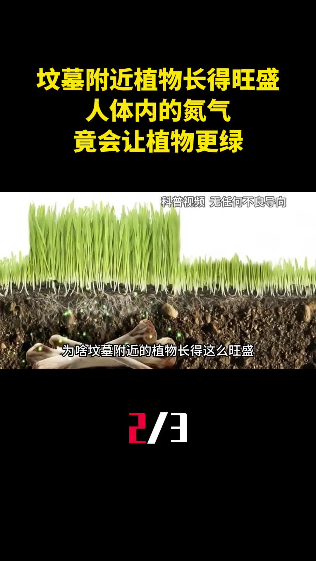 为啥坟墓附近植物长得旺盛人体内的氮气竟会让植物更绿2