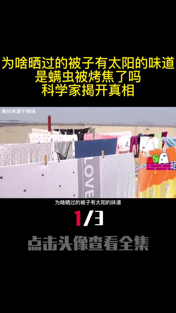 为啥晒过的被子有太阳的味道是螨虫被烤焦了吗科学家揭开真相1