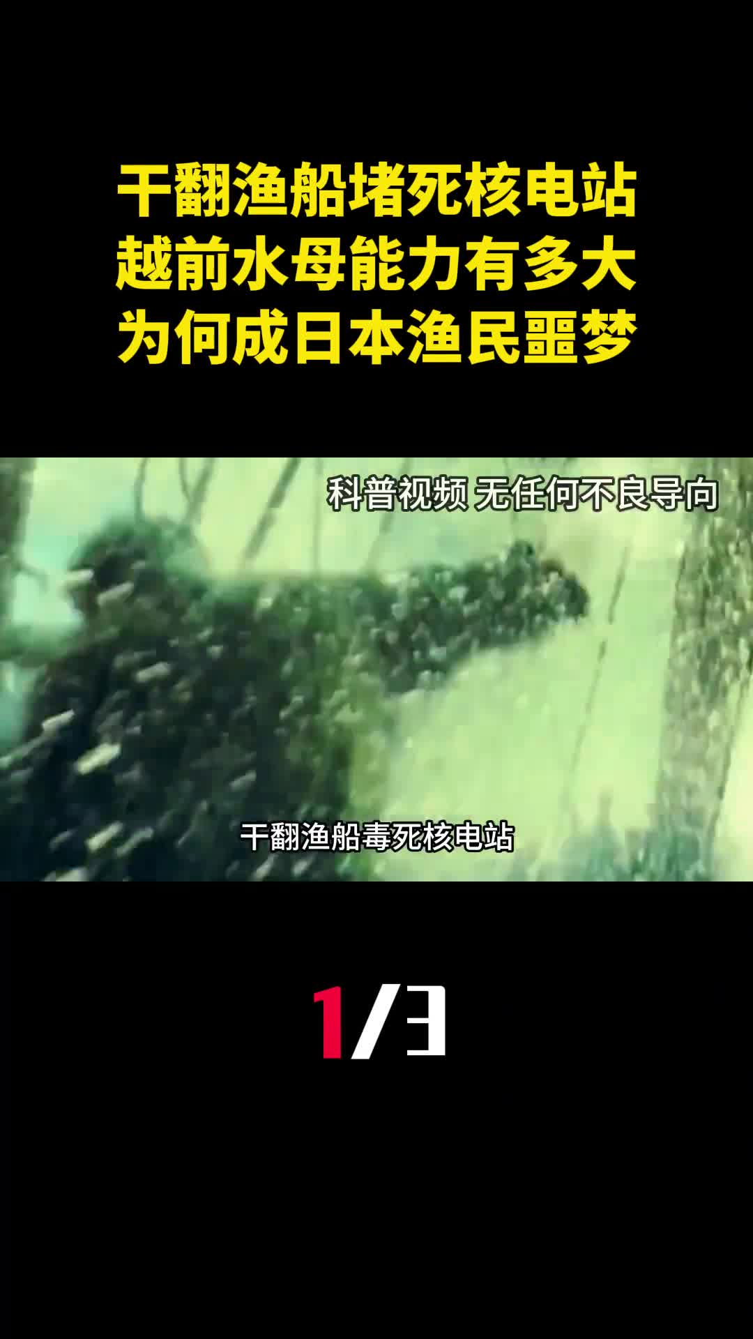干翻渔船堵死核电站越前水母能力有多大为何成日本渔民噩梦1