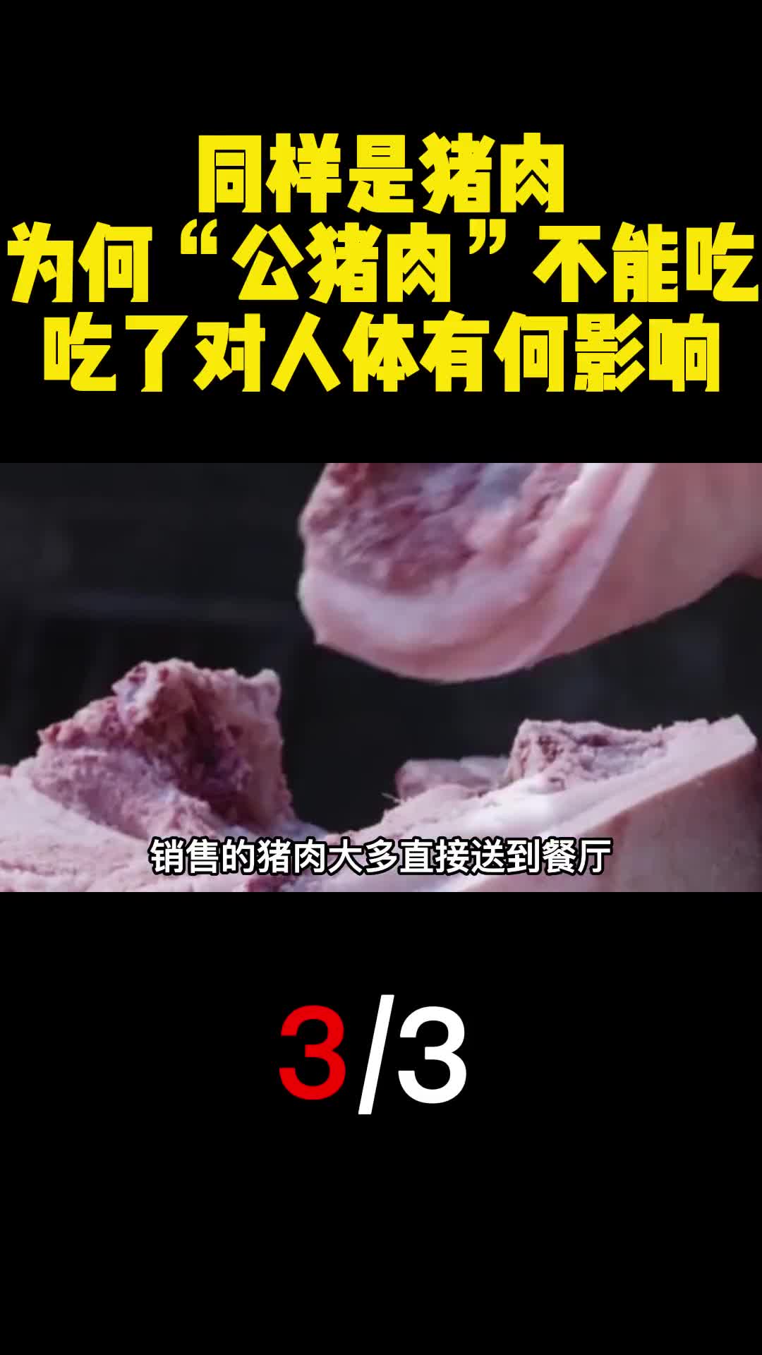 同样是猪肉为何公猪肉不能吃吃了对人体有何影响3