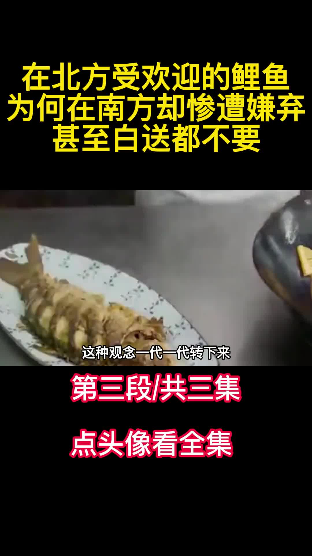 在北方受欢迎的鲤鱼为何在南方却惨遭嫌弃甚至白送都不要3