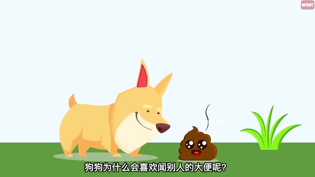 狗狗为什么在便便前转圈圈狗狗迷惑行为大解密三