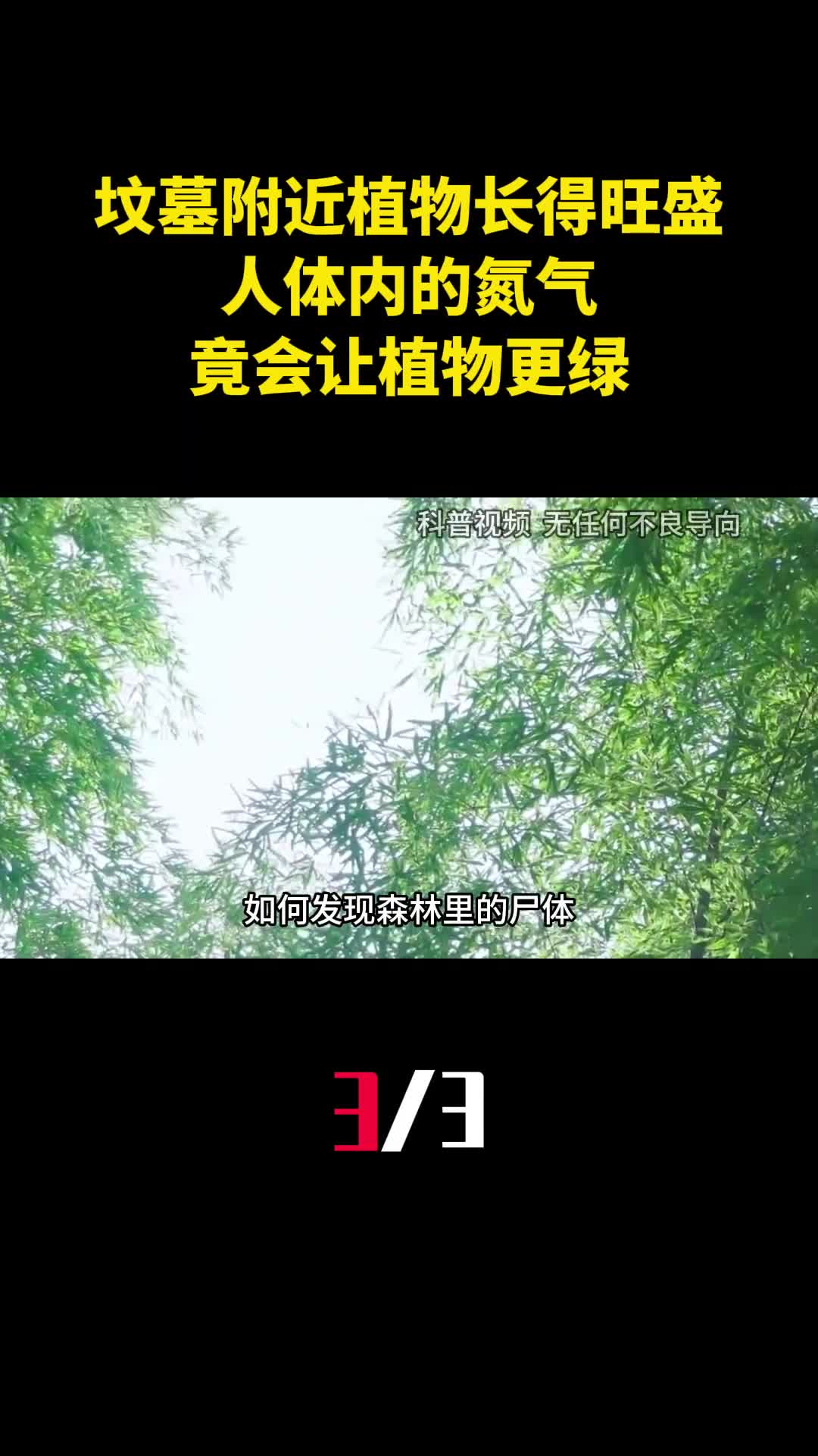 为啥坟墓附近植物长得旺盛人体内的氮气竟会让植物更绿3