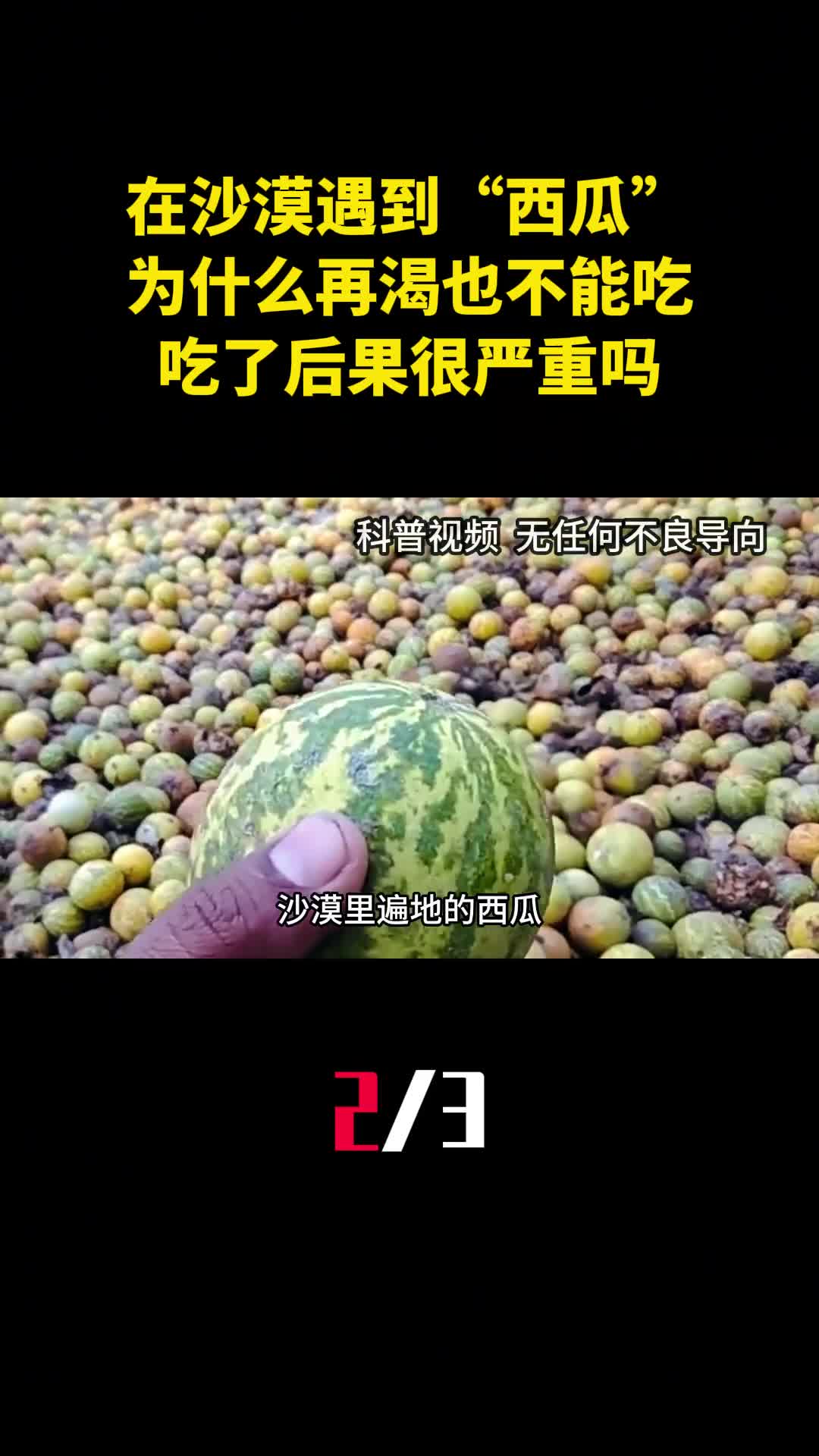 在沙漠遇到西瓜为什么再渴也不能吃吃了后果很严重吗2