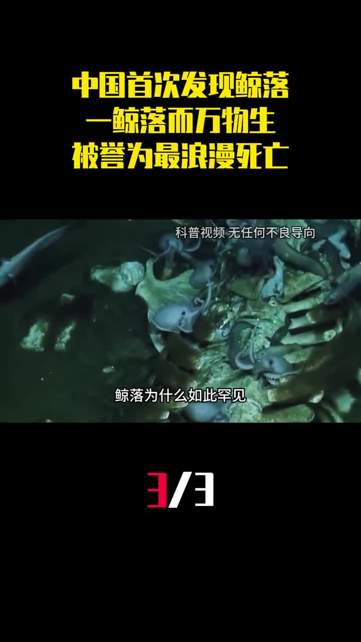 中国首次发现鲸落一鲸落而万物生为什么被誉为最浪漫的死亡3