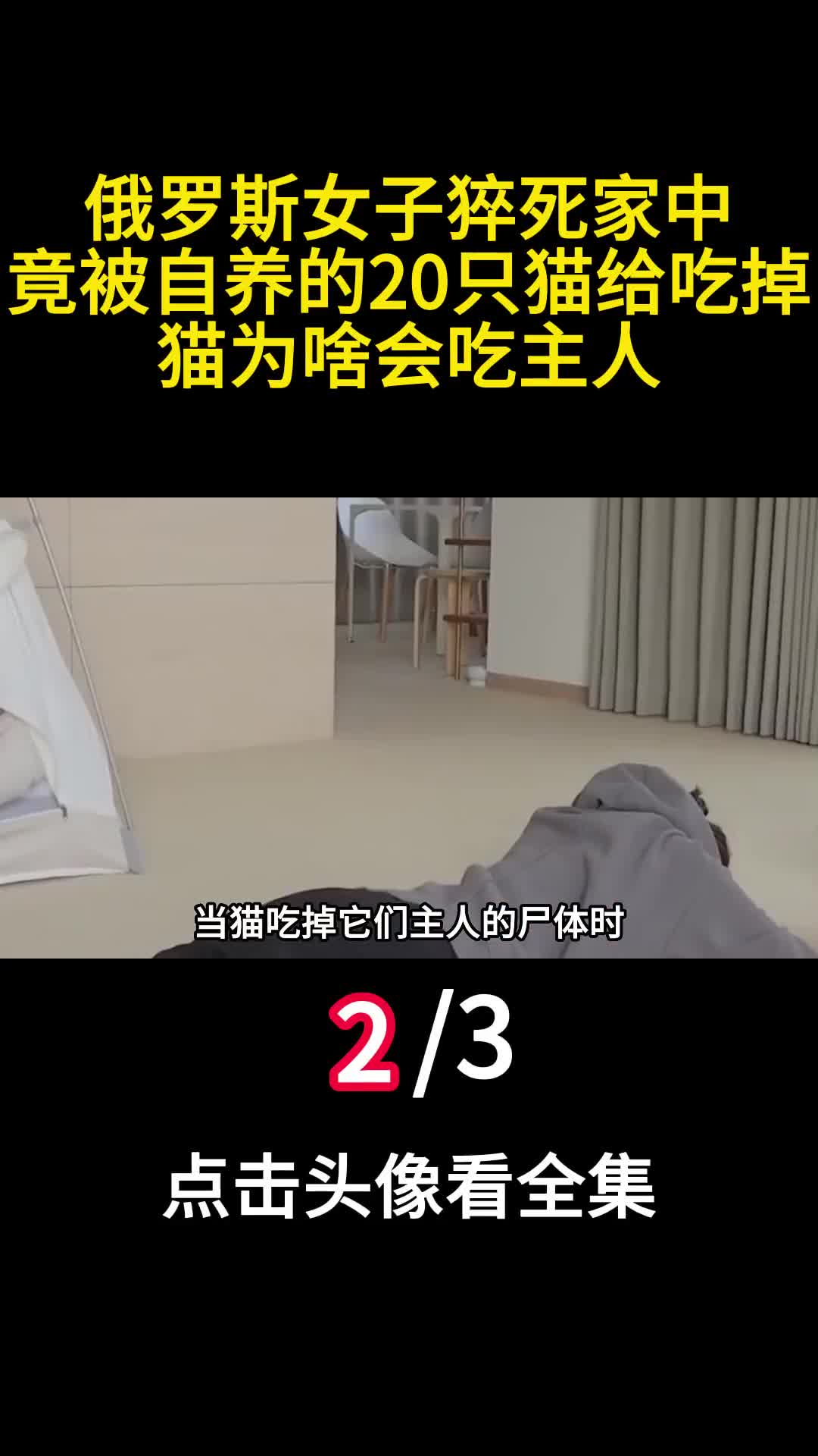 俄罗斯女子猝死家中竟被自养的20只猫给吃掉猫为啥会吃主人2